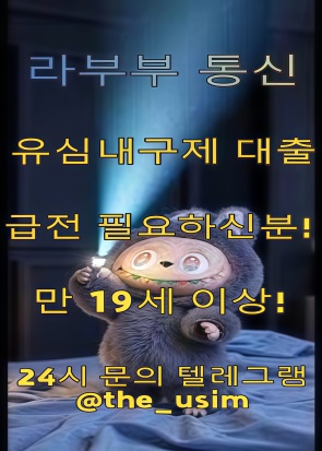 가전내구제the_usim.jpg