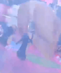 Honeycam 2024-11-11 21-28-58.gif