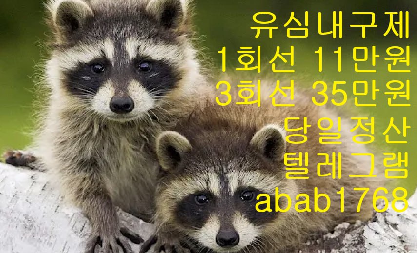 선불유심내구제 유심내구제 내구제 고액알바 급전 소액결제 소액대출 당일대출 비대면급전 가전내구제 상조내구제 (11).jpg